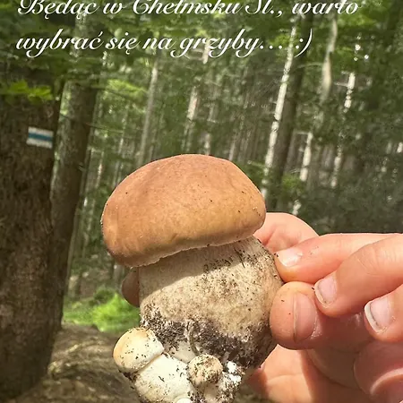 Chelmski Zakatek * Chełmsko Śląskie