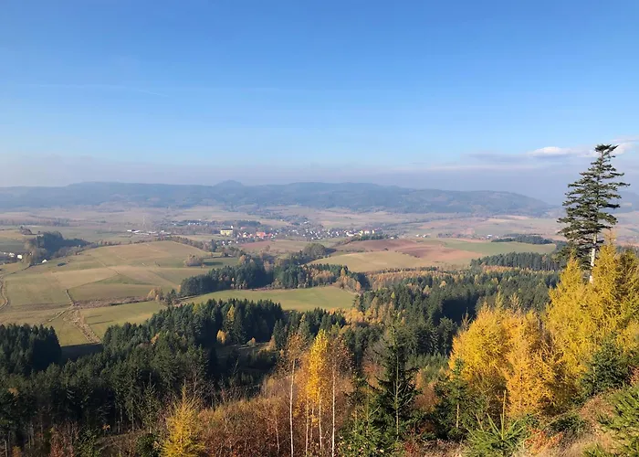 Apartment Chelmski Zakatek