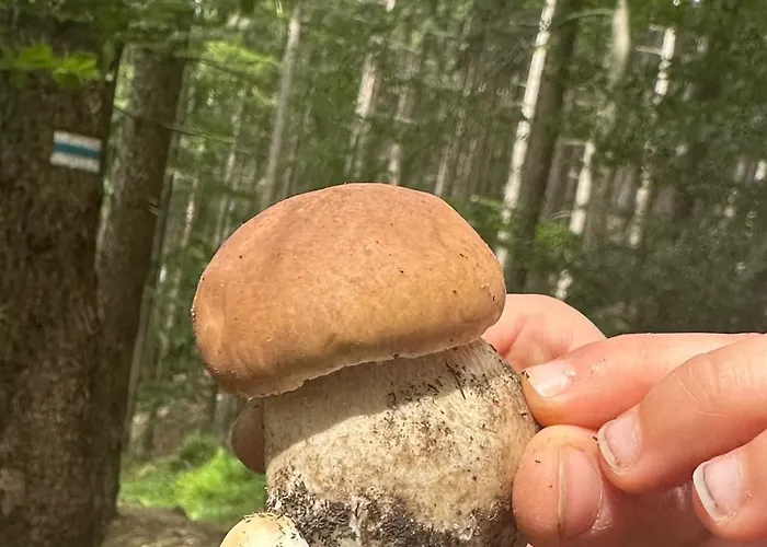 Chelmski Zakatek * Chelmsko Slaskie